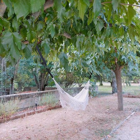 Bed and Breakfast Reve D'Emma Plan-dʼOrgon Exterior foto