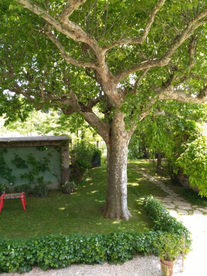 Bed and Breakfast Reve D'Emma Plan-dʼOrgon Exterior foto