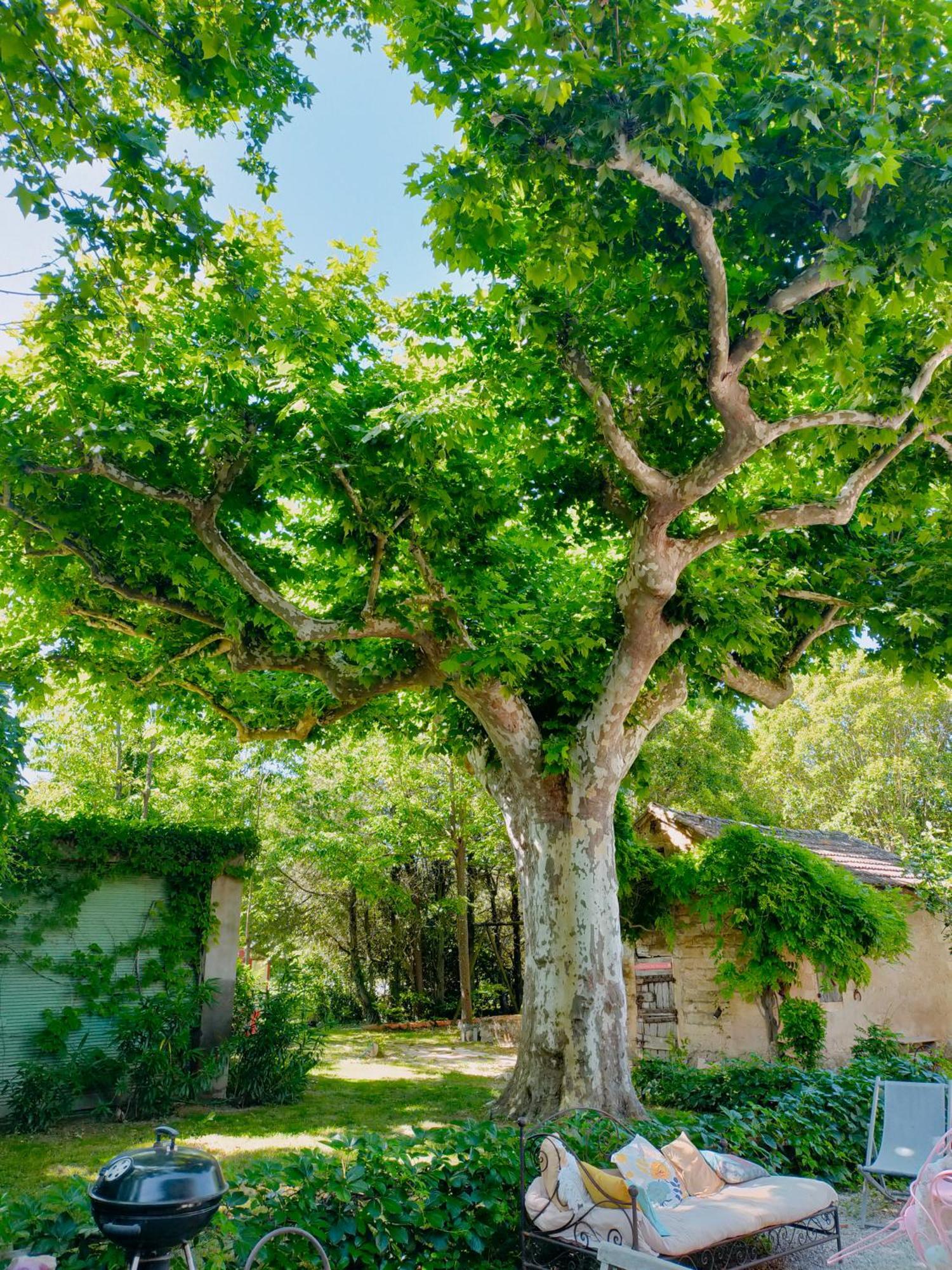 Bed and Breakfast Reve D'Emma Plan-dʼOrgon Exterior foto